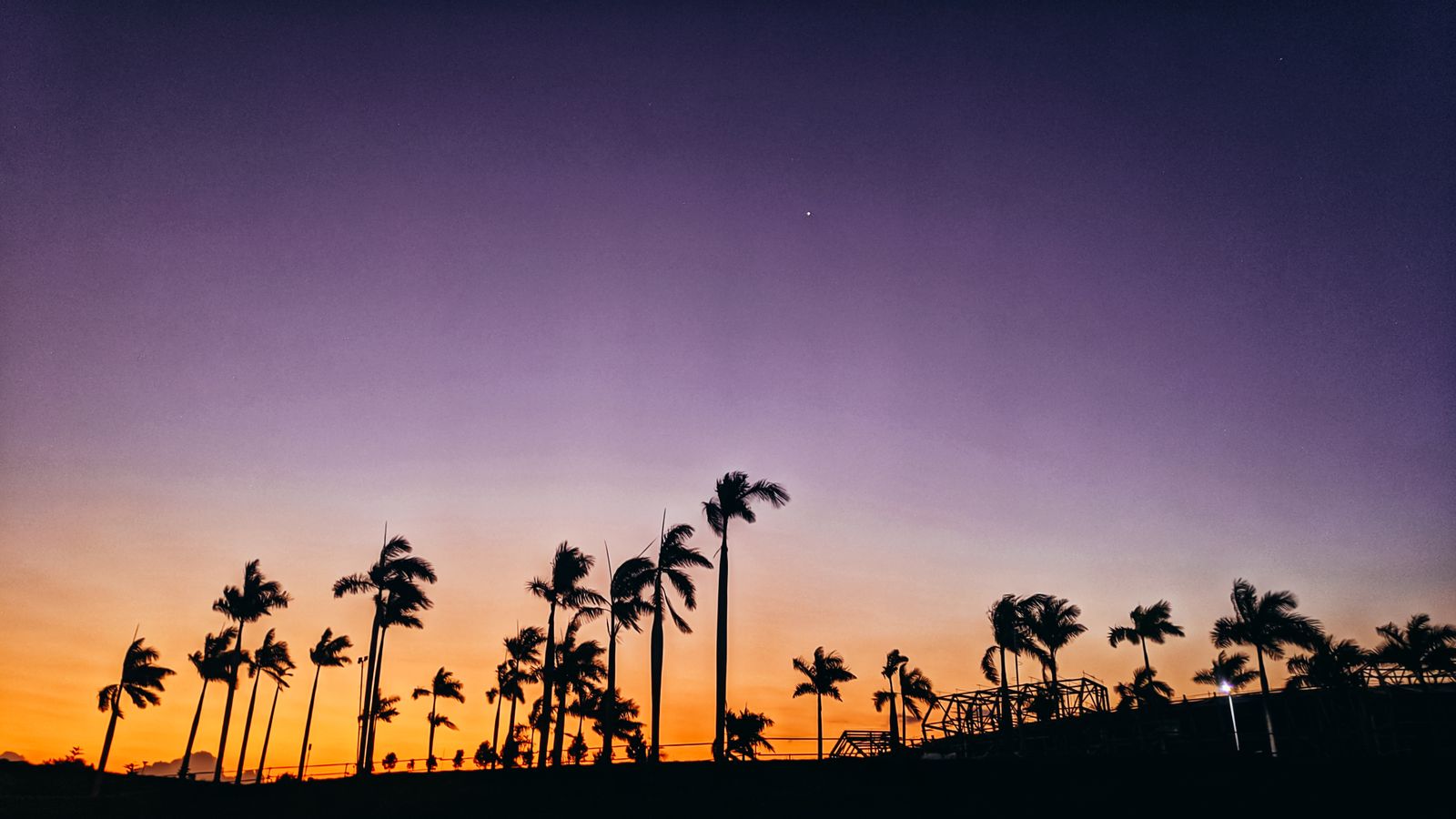 Silhouette of palm trees at sunset with a vivid pink and orange sky